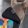 Толстовка Pet Fashion The Coolest M (4823082420353): Тип Толстовки