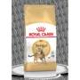 Сухий корм для котів Royal Canin Bengal Adult бенгальської породи 400 г (4370004)