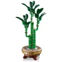 Конструктор LEGO Botanicals Бамбук счастья 325 деталей (10344): Количество деталей, шт. 325