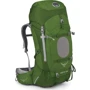 Рюкзак Osprey Aether 60 Bonsai Green (LG)