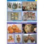 Мистецтво України 1–4 класи. Комплект наочних плакатів: Количество страниц 16
