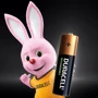 Аккумуляторы Duracell Ni-MH AA HR6 1300mAh 2шт. фото 2