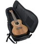 Чохол для укулеле GATOR GB-4G-UKE CON: Тип Чохли