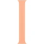 Аксессуар для Watch Apple Solo Loop Cantaloupe Size 7 (MJGA3) for Apple Watch 38/40mm: Тип аксессуара ремешок