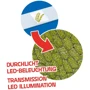 Мікроскоп Bresser Junior 40x-640x Blue з набором для дослідів та адаптером для смартфона (8851300WXH000) фото 10