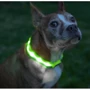 Ошейник с подсветкой UFT PET LED 1 Green для собак на батарейках М (UFTPL1Mgreen): Цвет зеленый