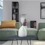 Увлажнитель воздуха Olimpia Splendid ASTOMI 200 (OS-99406): Очищение нет