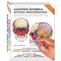 Лоуренс Элсон, Уинн Кэпит: Анатомия человека. Атлас-раскраска: Производитель Форс