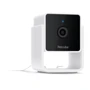 Компактна HD-камера Petcube Cam з нічним баченням та двостороннім аудіозв'язком