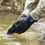 Рукавички водонепроникні DexShell ToughShield XL (DG458NXL): Матеріал Синтетическое волокно