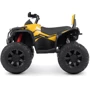Детский электроквадроцикл Bambi Racer M 4795EBLR-6 до 30 кг: Материал корпуса пластик