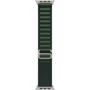 Apple 49mm Dark Green Alpine Loop - Medium - Natural Titanium Finish (MXMV3ZM/A)