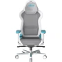 Кресло DXRacer Air PRO белое-бирюзовое (AIR-R1S-WQ.G-B3-NVF)