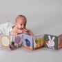 Развивающая книжка-раскладушка Taf Toys коллекции Садик в городе Зайчики (13065)