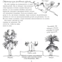 Рисование для тех, кто не открыл в себе художника: Количество страниц 104