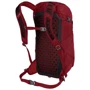 Рюкзак Osprey Skarab 30 Mystic Red - O/S (009.1917): Производитель Osprey