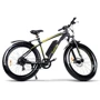 Электровелосипед GreenGo Bruiser Black Yellow: Допустимая нагрузка, кг 120