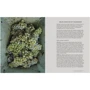 Peter Liem: Champagne: Производитель Mitchell Beazley