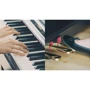 Цифровые пианино YAMAHA ARIUS YDP-S55 (Black): Тип Интерьерные