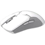 Мышь RAZER Viper Ultimate Wireless & Mouse Dock Mercury (RZ01-03050400-R3M1): Интерфейс подключения Wireless
