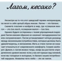 Солвей Бергрен: Лагом: не много, не мало. Шведская философия золотой середины: Количество страниц 256