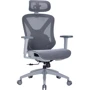 Кресло офисное OfficePro Atlas (OC630G-DG-DG)