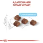 Сухой корм Royal Canin Mother & Babycat для новорожденных котят и кошек во время беременности 10 кг (2571100): Возраст Котята
