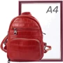Женский рюкзак Vito Torelli красный (VT-5005-red): Застежка Молния