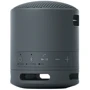 Акустика Sony SRS-XB100 Black (SRSXB100B.CE7): Тип портативная