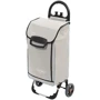 Сумка-тележка Aurora Roma 50 Grey (926861)