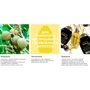 OGX Kukui Oil Кондиционер Увлажнение и гладкость с маслом гавайского ореха 385 ml фото 9