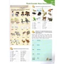 Grammarway 1: Student's Book Russian Edition: Производитель Express Publishing
