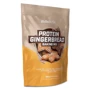 BiotechUSA Protein Gingerbread 300 g / 3 servings / gingerbread