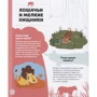 Эрик Мативе: Дикие животные: Количество страниц 48