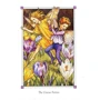 Cicely Mary Barker: Flower Fairies of the Spring: Жанр Художественная литература