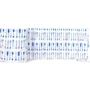 Бортик в кроватку Cosas WeltBed ArrowsBlue 30х180 см (4822052054192)