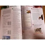 On Screen C2: Workbook & Grammar Book: Производитель Express Publishing