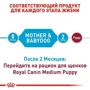 Сухой корм для собак в период беременности Royal Canin Medium Starter и щенков средних пород 1 кг (2993010): Класс Супер премиум