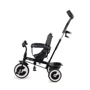Трехколесный велосипед Kinderkraft Aston Malachite Grey (00-00305166): Тормоза Ножной