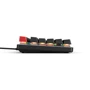 Клавиатура Glorious GMMK TKL Black (GMMK-TKL-BRN): Интерфейс подключения USB