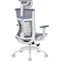 Офісне крісло OfficePro Balance OC620-W-DG-DG: Матеріал оббивки Тканина, З сіткою