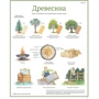 Сюзанна Риха: Сокровища Земли: ISBN 978-5-00100-832-3