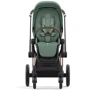 Чехол тканевый для прогулочного блока Cybex Priam Leaf Green (523000773) фото 4
