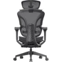 Эргономичное офисное кресло OfficePro Elite Black (OC950B)