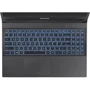 Ноутбук Dream Machines RG3050-15 (RG3050-15UA55) UA: Тип экрана матовый
