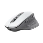 Мышь Trust Ozaa Rechargeable WL White(24035): Интерфейс подключения Wireless
