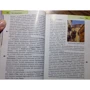 Наташа Эдвардс: Ницца, Канны и Монте-Карло. Путеводитель Berlitz Pocket Guide: Обложка Мягкая