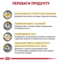 Сухой корм для собак Royal Canin Urinary S/O Moderate Calorie Dog при мочекаменной болезни 1.5 кг (3800015): Свойства Основное питание, Мочекаменная болезнь, Заболевания почек