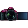 Nikon D5300 Kit (18-55mm) VR II Red: Количество мегапикселей 24.2