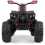 Дитячий електроквадроцикл Bambi Racer M 4795EBLR-8 до 30 кг: Вид квадроцикл